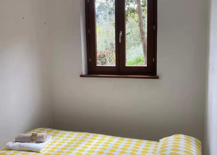 Lejlighed Casa Calma